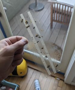 Window Fly Traps by Catchmaster - 12 Count, Ready to Use Indoors. Insect, Bugs, Fly & Fruit Fly Glue Adhesive Sticky Paper - Waterproof Easy Application Ready Disposable Non-Toxic 12 Traps 30 71J0Z3aWflL 1