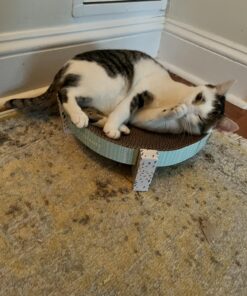 Catstages Scratch, Snuggle & Rest Corrugated Cat Scratcher With Catnip (packaging may vary) Scratch Snuggle & Rest 37 71J1 ODwnVL