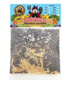 Praying Mantis (5) Egg Cases with Habitat Cup- 5 Egg Cases & 1,500 Live Ladybugs 29 71J1d741wIL 3