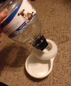 Petmate Replendish Automatic Gravity Waterer for Cats and Dogs, BPA-Free, No Batteries Required, Includes Charcoal Filter, 1 Gallon, Made in USA Silver 1 GAL 56 71J26rNfN6L