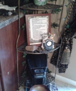 PetSafe Healthy Pet Simply Feed - Automatic - Headquartered in Knoxville, TN - Automatic Dog Feeder from the Engineers of the Smart Feed & Dancing Dot - 1-Year Comprehensive Protection Plan,Black 39 71J2HY5dIL