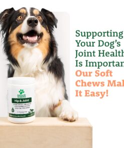 Advanced Hip & Joint Supplement for Dogs, 225 Soft Chews, All Natural Glucosamine, Chondroitin, MSM & CoQ10 For Healthy Hips & Joints, Made in the USA Chicken - 225 Count 28 71J34unqubL 3