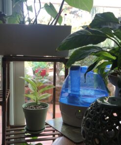 AquaOasis™ Cool Mist Humidifier (2.2L Water Tank) Quiet Ultrasonic Humidifiers for Bedroom & Large room - Adjustable -360 Rotation Nozzle, Auto-Shut Off, Humidifiers for Babies Nursery & Whole House Humidifier (Large) 41 71J42wU1idL