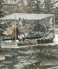 Large Clear Window Bird Feeder - Extended House with Strong Suction Cups - Steel Perch Sliding Feed Seed Tray - See Through Transparent Big Birdhouse - Wild Finch, Cardinal, Blue Jay - Cool Cat Gift 91 71J44zp4kZL