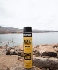 Sawyer Products SP618 Premium Permethrin Insect Repellent for Clothing, Gear & Tents, Aerosol Spray, 18-Ounce 18-oz Aerosol Spray 7 71J4RsFovYL