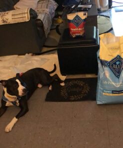 Blue Buffalo Dog Food for Puppies, Life Protection Formula, Natural Chicken & Brown Rice Flavor, Puppy Dry Dog Food, 15 lb Bag 15.00 Pound (Pack of 1) 32 71J6pPZmNqL 2