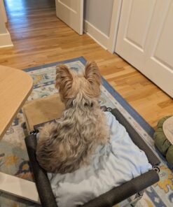 Whitmor Supreme Stacking Shelf with Basket - Adjustable Home Organizer - Chrome Stacking Shelf W/Basket 36 71J78789JL