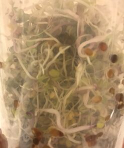 Todd's Seeds® Broccoli and Friends Sprouting Seed Mix, One Pound 49 71J7dTZeNQL