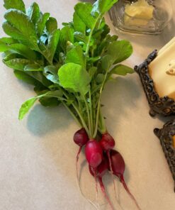 Lifetime 60069 Raised Garden Bed Kit, 4 by 4 Feet, Pack of 3 46 71J8mvRpjL