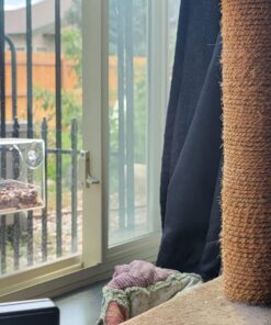 Extra Large Window Bird Feeders for Outside - Clear Bird Feeders for Viewing - Extra Strong Suction Cup Bird Feeder Window - Drainage Holes, Detachable Large Seed Tray, and Rubber Perch for Wild Birds Rectangular 36 71JCw6wqjmL