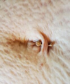 Forbidden Body Jewelry Surgical Steel Petite Belly Button Rings Curved Navel Barbell Set 14G 5/16 inch, 3mm end balls (2pcs-Select Colors) Steel/Rose Gold 28 71JDFdd0q L