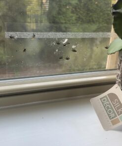 Window Fly Traps by Catchmaster - 12 Count, Ready to Use Indoors. Insect, Bugs, Fly & Fruit Fly Glue Adhesive Sticky Paper - Waterproof Easy Application Ready Disposable Non-Toxic 12 Traps 28 71JFjoHi4zL 1