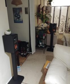 SANUS BF31-B1 31" Speaker Stands for Bookshelf Speakers up to 20 lbs - Black - Set of 2 23 71JIoitJhIL