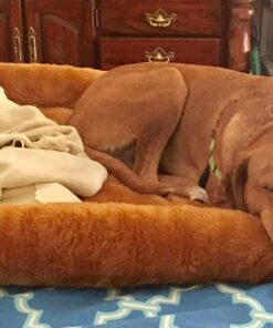 MidWest Homes for Pets Bolster Cinnamon Pet Bed for Dogs & Cats w/ Comfortable Bolster | Ideal for Extra Large Dog Breeds & Fits a 48-Inch Crate | Easy Maintenance Machine Wash & Dry | 48L-Inch 38 71JJ3fFbNmL