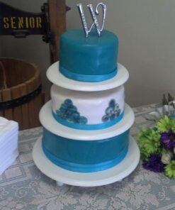 Americolor Soft Gel Paste Food Color, 4.5-Ounce, Turquoise 14 71JJrXKcsWL