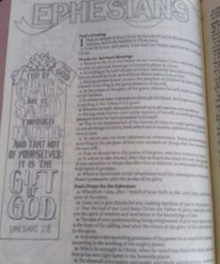 KJV Holy Bible, My Creative Bible, Faux Leather Flexcover - Ribbon Marker, King James Version, Pink Floral 59 71JKowcG5NL