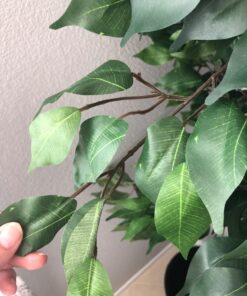 Nearly Natural 6ft. Ficus Artificial Trees, 72in, Green 72 in 42 71JNJsmwlqL