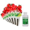 AeroGarden Red Heirloom Cherry Tomato Seed Pod Kit for AeroGarden Hydroponic Indoor Garden, 6-Pod 19 71JNSoSWJrL