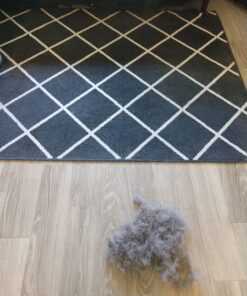 FURemover Original Indoor Pet Hair Rubber Broom and Pet Hair Remover Lint Brush Set, Colors May Vary FURemover Broom and Brush Combo 52 71JNyNbnZwL