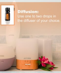 DoTerra - Motivate Essential Oil Encouraging Blend, Peppermint, Clementine, Coriander 5 mL Peppermint, Clementine, Coriander blend 0.17 Fl Oz (Pack of 1) 13 71JQKLrebML