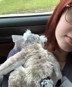 Wild Republic Ring Tailed Lemur Plush, Stuffed Animal, Plush Toy, Kids Gifts, Cuddlekins, 8 Inches 3 71JR3RewHUL