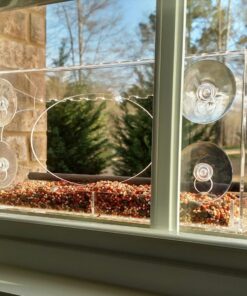 Large Clear Window Bird Feeder - Extended House with Strong Suction Cups - Steel Perch Sliding Feed Seed Tray - See Through Transparent Big Birdhouse - Wild Finch, Cardinal, Blue Jay - Cool Cat Gift 96 71JRmGYP2iL