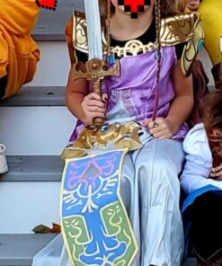 Disguise Zelda Deluxe Legend of Zelda Nintendo Costume Medium/7-8 13 71JS3QTltSL