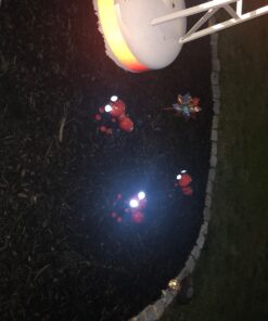 Smarty Gadgets - Metal Garden Art Decoration, Steel Red Ant Figurine with Solar Powered LED Lights for Yard, Patio, Lawn and Garden Decor and Ornament, Outdoor and Indoor Statue, 11" X 10" 39 71JTttG3 xL