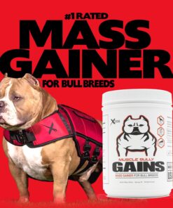 Muscle Bully Gains - Mass Weight Gainer for Dogs, Whey Protein, Flax Seed (for Bull Breeds, Pit Bulls, Bullies) Increase Healthy Natural Weight, Made in The USA (90 Servings) 90 Servings 30 71JVfZ2RzmL