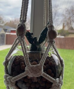 Expanded Clay Pebbles LECA Grow Media for Plants, Orchids, DWC Hydroponics, Aquaponics, Aquaculture Garden Soil Additive Conditioner Amendment Ceramsite Aggregate Cz Garden 2 LBS Cz Expanded Clay Pebbles 53 71JWIbi q8L