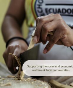 Luna Sundara Organic Wild Harvested Palo Santo Smudging Sticks from Ecuador Select High Resin Natural Incense Sticks Sustainable Packaging 8 Aromatic Sticks for Peace and Tranquility Bursera Graveolens Wood 29 71JYyKfBAL