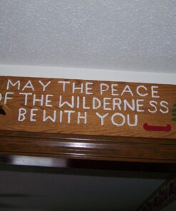 FolkArt PROMO830 Multi Satin Finish Acrylic Craft Paint Set Designed for Beginners and Artists, Non-Toxic Formula That Works on All Surfaces, 2 oz, 2 Fl Oz (Pack of 12), 12 Colors May Vary, 24 56 71JZDgnYKL