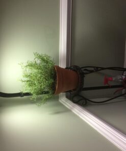 Lavish Home 72-6890 Floor Full Spectrum Natural Sunlight Lamp with Bendable Neck-Reading, Craft, Studying, and Esthetician Light (Black) Adjustable Lamp-6ft Black 22 71Ja1U4BKtL