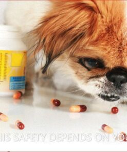 Pill Terminator Safe Pill Disposal Container Medicine Cabinet Size ( 300 cc ) Pack of 1 8 71Ja5LzsHVL