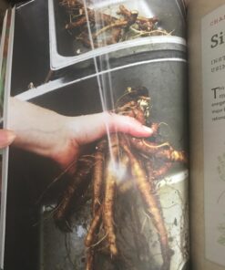 The Modern Herbal Dispensatory: A Medicine-Making Guide 54 71Jac4tYMSL