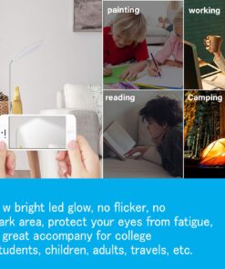 DEEPLITE LED Desk Lamp with Flexible Gooseneck 3 Level Brightness, Battery Operated Table Lamp 5W Touch Control,Compact Portable lamp for Dorm Study Office Bedroom,Eye-Caring and Energy Saving White 1 Pack 36 71JaqDDlhtL