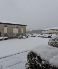 Rokinon 14mm F2.8 Full Frame Auto Focus Lens for Sony E-Mount, Black (IO14AF-E) 35 71Jbvd7Ti4L