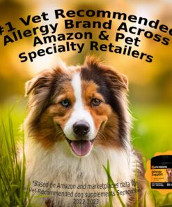 Alternative view of Pet Honesty Dog Allergy Relief Immunity - Dog Allergy Chews, Probiotics for Dogs, Seasonal Allergies, Skin and Coat Supplement, Allergy Itch Relief for Dogs (Salmon) Salmon Single
