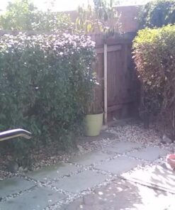 Greenworks 2.7 Amp 18" Corded Electric Hedge Trimmer 18" Corded Hedge Trimmer 31 71JkZ6biz3L