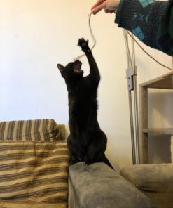 KINGLAKE Natural Thick Strong Jute Rope 66 Feet 5mm 3 Ply Hemp Rope Cord for Arts Crafts DIY Decoration Gift Wrapping 5mmx66 ft Brown 28 71JlMuhWqNL