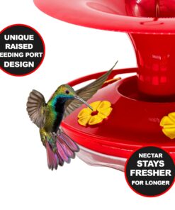 Roamwild Hanging Hummingbird Feeder for Outdoors with Double Moat Guard Technology | 5 Feeding Stations with Quick Easy Filling Port | 20 fl oz Nectar Large Capacity - Purple Petals (Yellow) Yellow 28 71JoHBoT50L