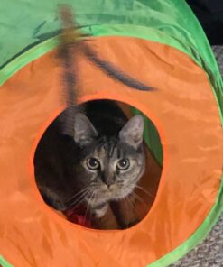 GoCat DaBird Feather Refill, Assorted Colors, Pack of 3 3 Pack 15 71JoxAMltcL