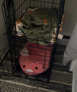 MidWest Homes for Pets Newly Enhanced Single Door iCrate Dog Crate, Includes Leak-Proof Pan, Floor Protecting Feet , Divider Panel & New Patented Features XX-Small - 18" L x 12" W x 14" H 35 71JpCMfwRpL