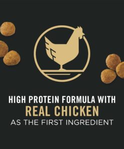 Purina Pro Plan High Protein Dry Puppy Food, Chicken and Rice Formula - 6 lb. Bag Chicken & Rice 17 71JsMn ugFL