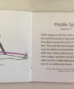 The PlumBand Stretch Band for Dance and Ballet – Colors and Sizes for Kids & Adults – Improve Your Splits, Strength, and Flexibility with Stretching – Printed Instruction Booklet and Travel Bag Plum Purple Regular 40 71JtBEcGQ9L