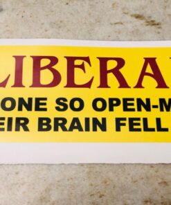Alternative view of Liberal: Someone So Open Minded Their Brain Fell Out; Bumper Sticker