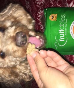 Fruitables Dog Treats Pumpkin & Apple Flavor, 7 oz 7 Ounce (Pack of 1) Pumpkin and Apple 22 71JuFwlBFxL