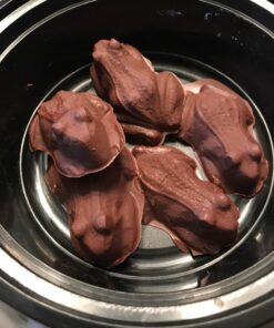 Cybrtrayd Life of the Party Frog Chocolate Candy Mold in Sealed Protective Poly Bag Imprinted with Copyrighted Cybrtrayd Molding Instruction 46 71JxMsOmQ2L