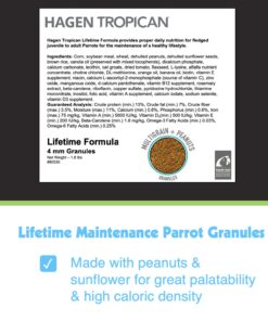 HARI Tropican Bird Food, Hagen Parrot Food with Peanuts & Sunflower Seeds, Maintenance Parrot Granules, Lifetime Formula, 1.8 lb Bag 1.8 Pound (Pack of 1) 12 71JzEdcxBfL