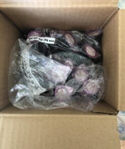 Broadman Church Supplies Pre-filled Communion Fellowship Cup, Juice and Wafer Set, 100 Count, Plastic 100 Count (Pack of 1) 26 71K bAX6kvL